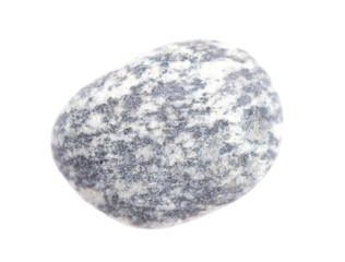 Sea stone isolated on a white background.