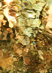 Transparent water in an aquarium