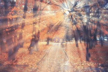 autumn landscape background, sun rays in the forest, park, trees seasonal view October