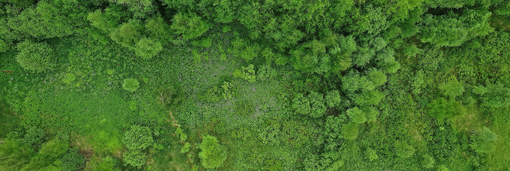 forest top view, landscape panorama view of summer forest with quadrocopter aerial view