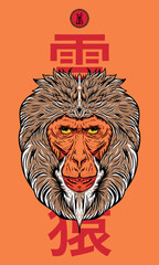 illustration of Japanese snow monkey, for t-shirt design