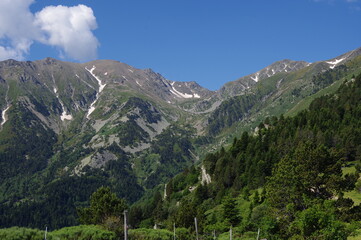 Fototapeta na wymiar Paysage de pâturage panorama de montagne des Pyrénées avec Canigou et un peu de neige