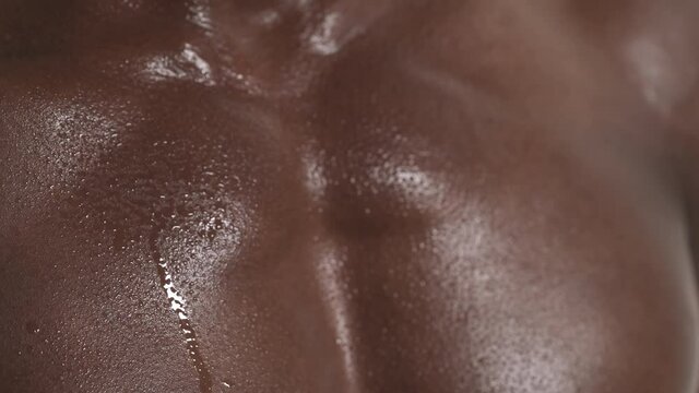Close-up cropped front view shot of a tired sporty muscular sweaty man's chest. Sportsman breathing hard. Isolated on white background