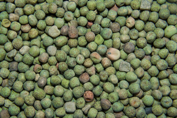 Vetch Seeds Background & Texture Close Up Macro Image.