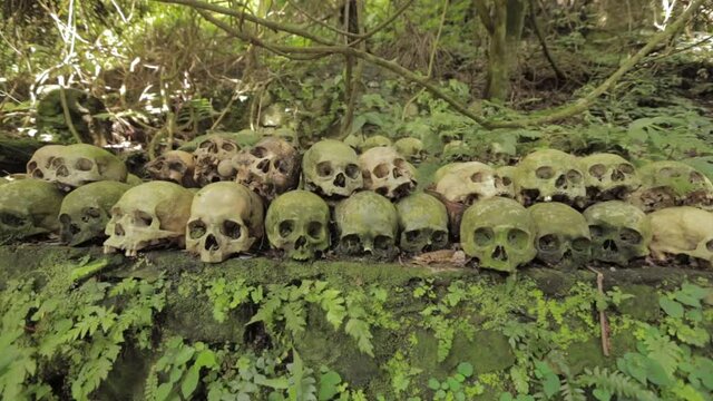 Bali Trunyan Terunyan Village Balinese Cemetary Skull Skulls Skeleton Dead Human Bones Death Deceased