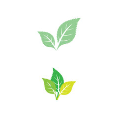 Leaf Mint Logo Template vector symbol