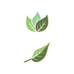 Leaf Mint Logo Template vector symbol