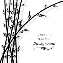  Bamboo forest grass silhouette on white background art design.

 