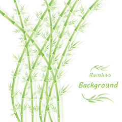  Bamboo forest grass green with white background art design.