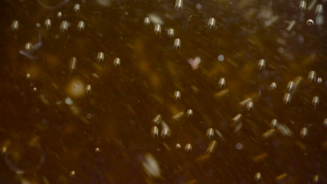 Shooting of fermentation process with bubbles