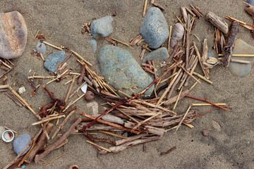 小枝と石と砂浜