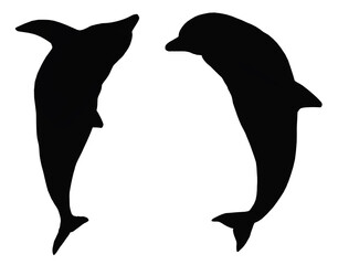 Silhouette mit zwei springenden Delfinen © Michael Rosskothen
