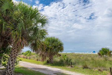 Siesta Key Beach on a beautiful summer day with palm trees, ocean and blue cloudy sky in Florida