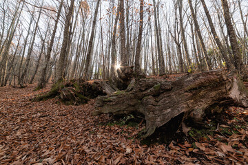 Preciosas fotografías de paisaje tomadas en Guadalupe, Provincia de Cáceres.