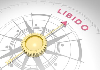 Abstract compass points to the libido word. 3D rendering