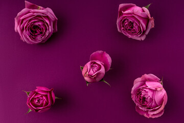 Scattered on a pink background are pink rosebuds. 