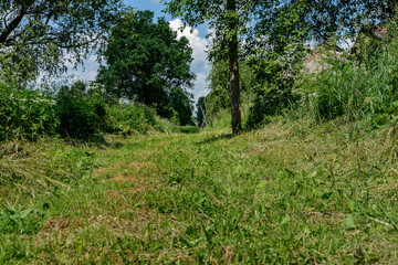 Fototapete bei efototapeten.de bestellen   