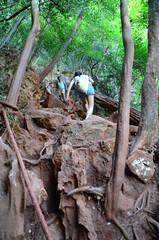 Girl enjoying outdoors in Thailand while being on vacation. Cheerful traveling.