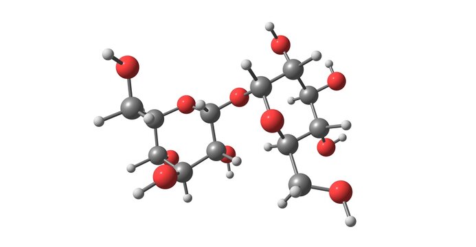 Trehalose molecular structure isolated on white
