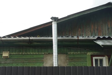 Fototapeta premium one gray long metal chimney on the green wooden wall of a rural house on the street