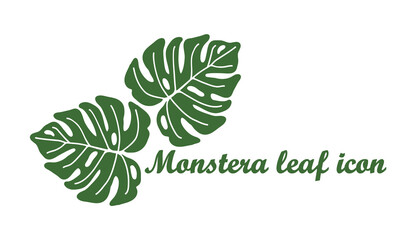Monstera leaf logo