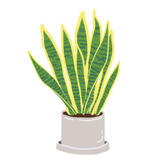 Snake Plant vector