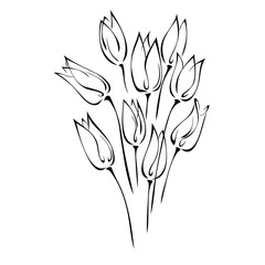 ornament 1210. bouquet of stylized Tulip buds in black lines on a white background