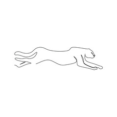 Continuous one line drawing of a cheetah hunting the pray. Vector illustration