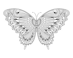 Fototapeta na wymiar Styled Butterfly - Coloring Page - Symmetry Ornate