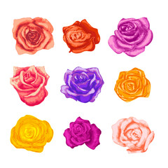 Large set of bright beautiful rosebuds in different colours on white