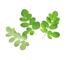 Fototapeta premium Moringa leaves have medicinal properties. top view
