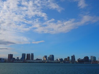 Obraz premium harbor view from Toyosu Gururi park
