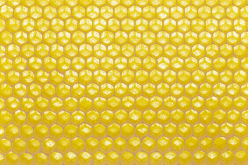 Macro view of empty honeycomb background with copy space