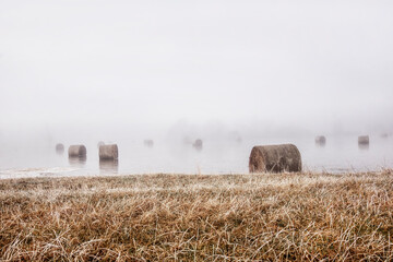 hay rolls in water and morning fog
