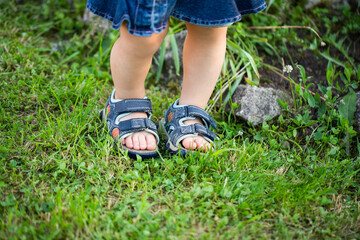 Baby Legs Of Girl Walking On Grass In Summer Close Up