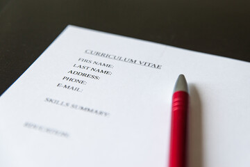 Draw up a Curriculum Vitae, filling in a form
