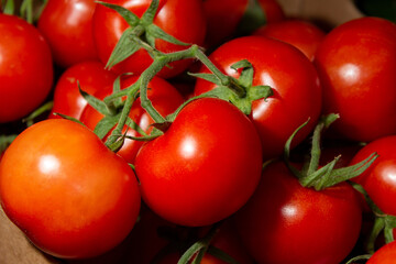 Red tomatoes close up, fresh and ripe vegetable