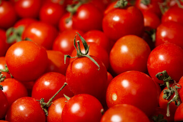 Red tomatoes close up, fresh and ripe vegetable