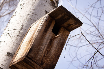 Wooden house for birds on the birch against the sky