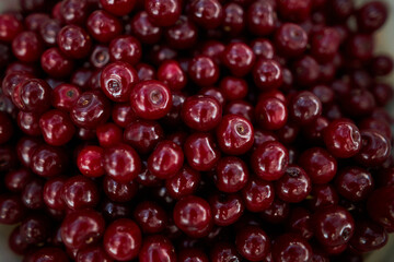Background from ripe cherries. Harvested ripe cherries. Agriculture. Berries. Cherry.
