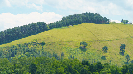 Green landscape in the Basque Country in summer sunny day. Freshness and calmness in the nature. Concepts of the beauty of nature and healthy lifestyles. Ecological trip theme.