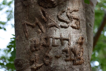 Letters on a tree