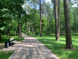 Moscow region, the city of Balashikha. Shady alley in the Park Pekhorka in the summer