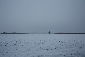 Beautiful landscape with snow in winter