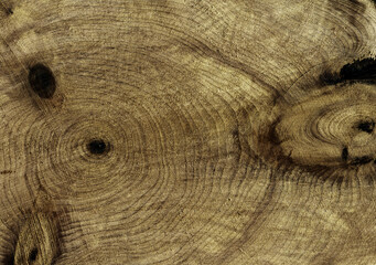 Fototapeta premium Grunge wood