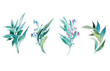 Watercolor set of compositions of herbs. Leaves, blue flowers, twigs, blade of grass