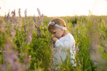 A girl in a dress stands in a field with blooming lupins and sniffs them. Flowers above the baby