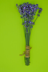 Isolated bouquet of lavender on a light green background. The flowers are tied with a rope. Minimalism. Copy space. Vertical image. 