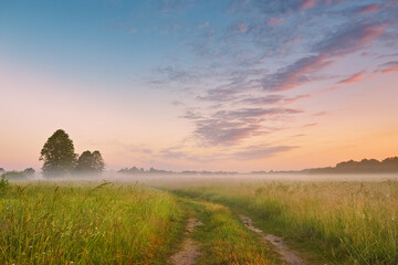 Naklejka na ściany i meble Dirt road wild meadow in morning fog. Rural summer landscape in sunrise