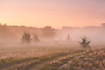 Summer misty landscape in sunrise light. Colorful dawn sky